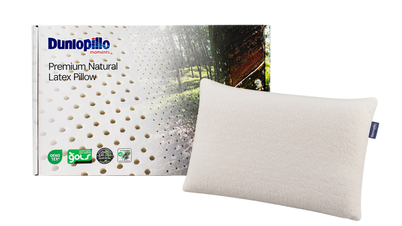 DP NEO Regular Size Latex Pillow